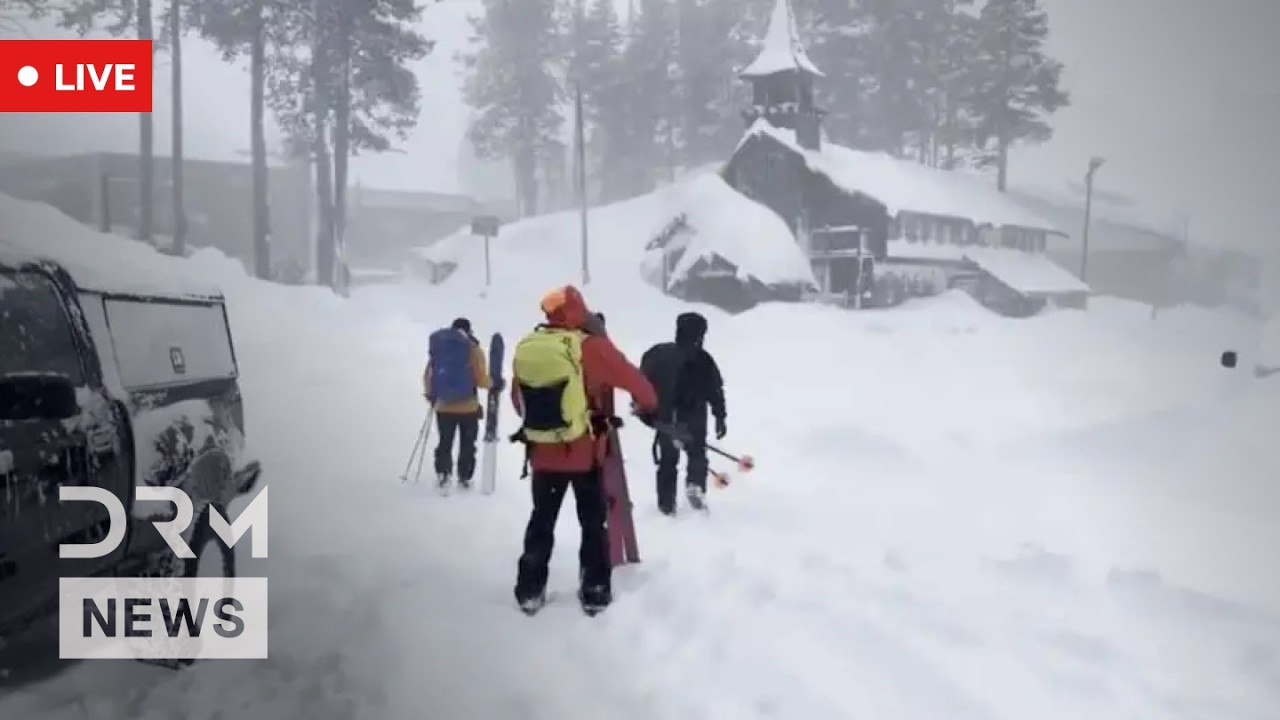 LIVE: California Sheriff Holds Presser on Lake Tahoe Avalanche Rescue Efforts | AP1N