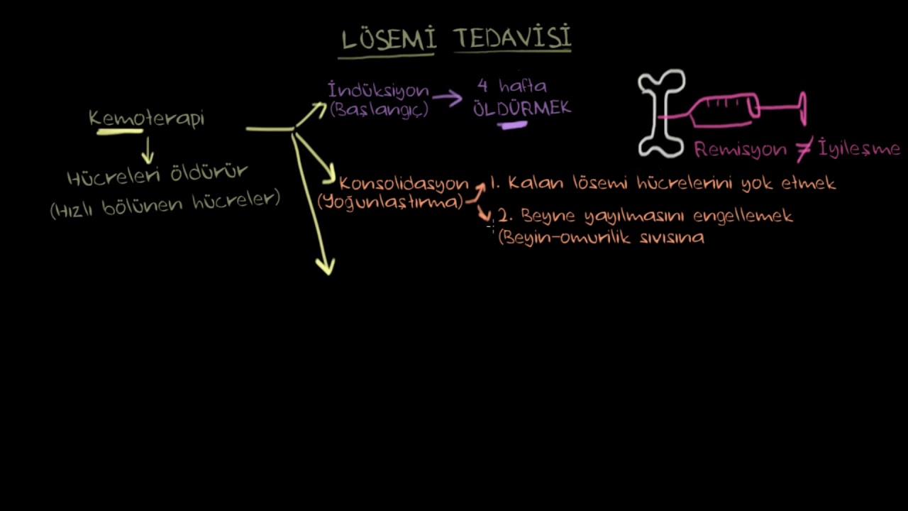 Lösemi Tedavisi (Sağlık ve Tıp)