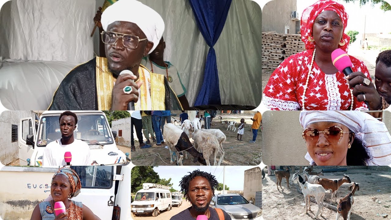 wadietiayou Gmouwate Kaffrine avec Baye Barham Diouf Et ces Talibé le 03/10/2023