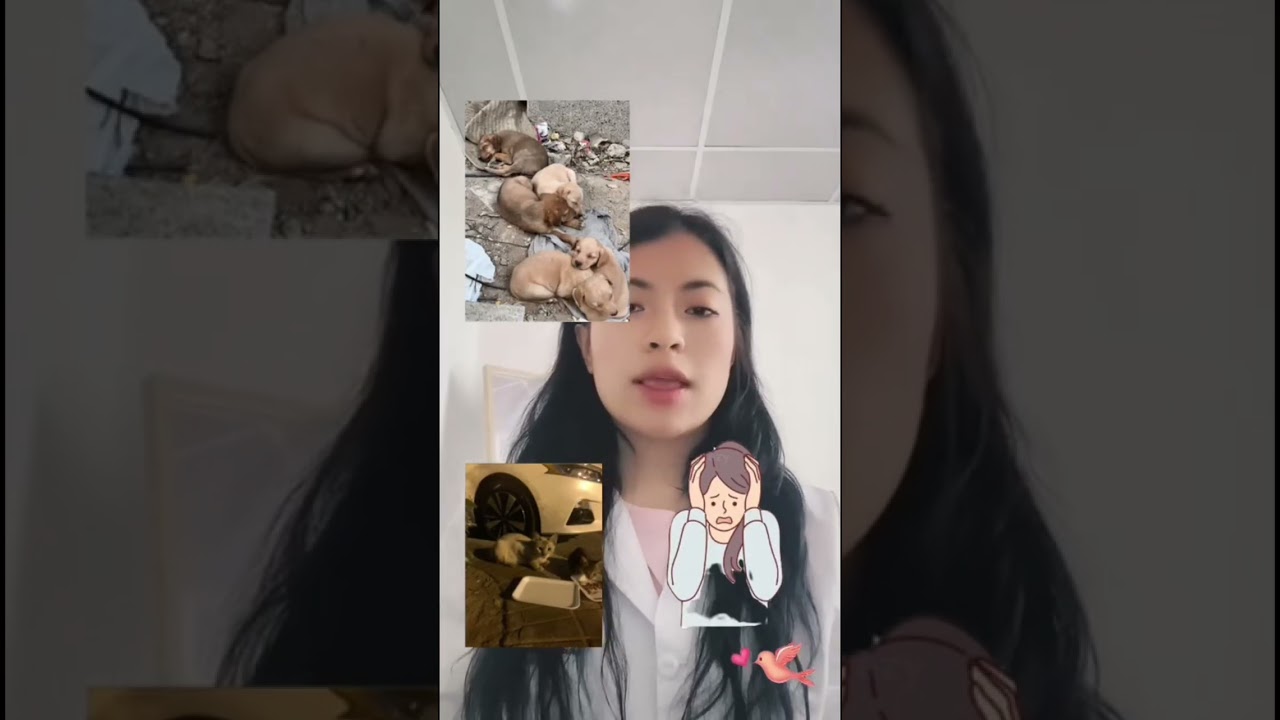 Diagnóstico Comunitario San Antonio de Pichincha 