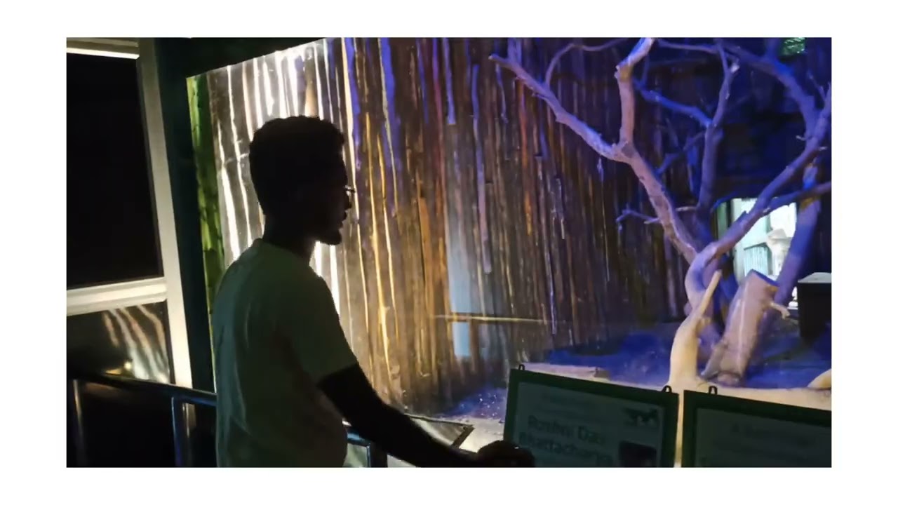 Alipur Zoo Kolkata 🌳 view