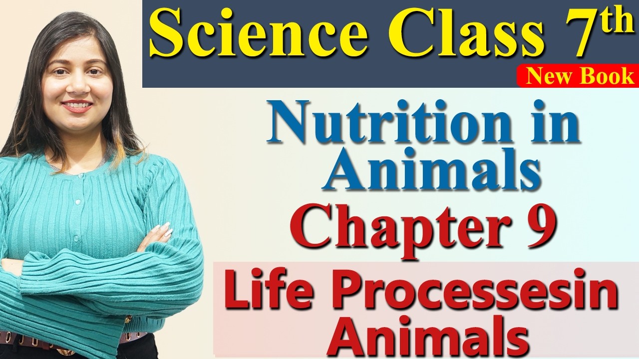 Nutrition in Animals , Chapter 9 Part 2 - Life Processesin Animals Science Curiosity Class 7 CBSE