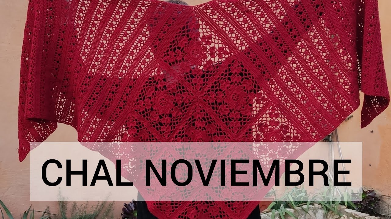 Chal de noviembre, la loca de los chales!!!!! ISABELLA ASTURIAS/ Borisla/🧶