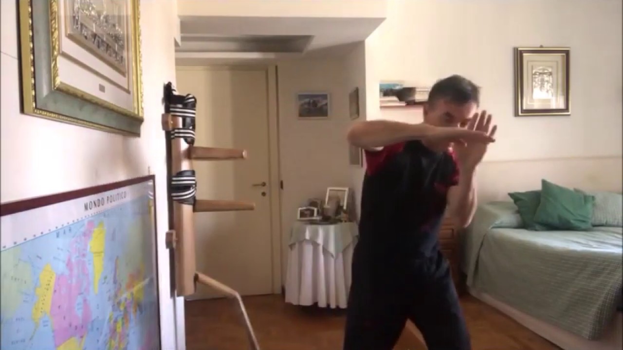 Wing Fight 3° Lezione