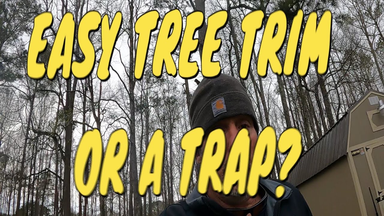 BIDDING SMALL TREE TRIM AND SHOP HOOK WELDING 101