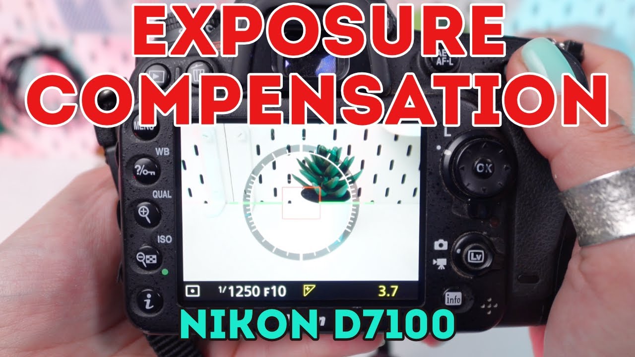 Master Exposure on Your Nikon D7100: How To Use Exposure Compensation