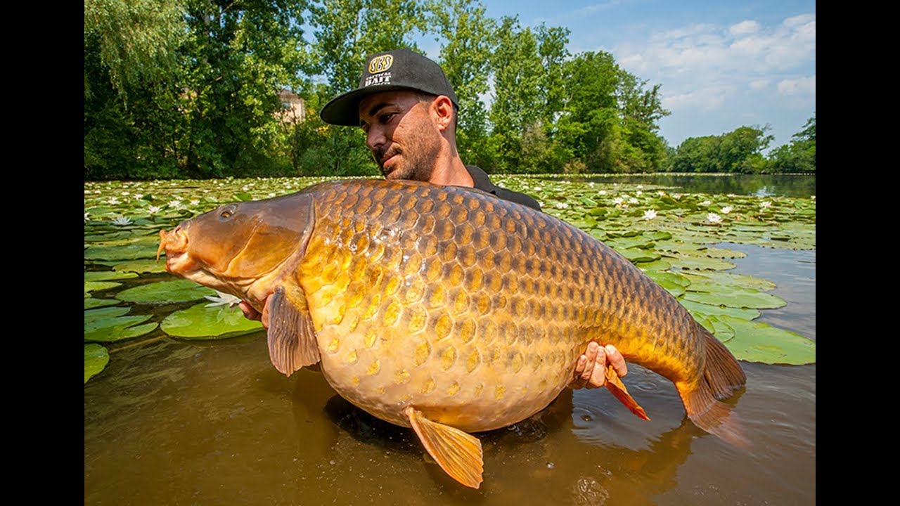CAVAGNAC LAKE- El paraíso del carpfishing