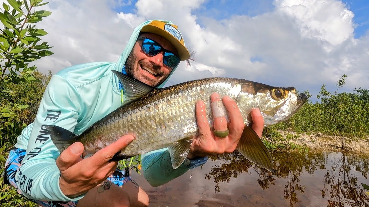 So Many Fish!! DIY Fly Fishing Ambergris Caye, Belize