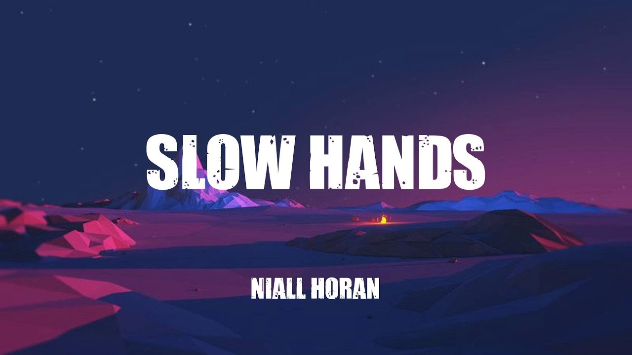 Niall Horan  -  Slow Hands  (Lyrics)