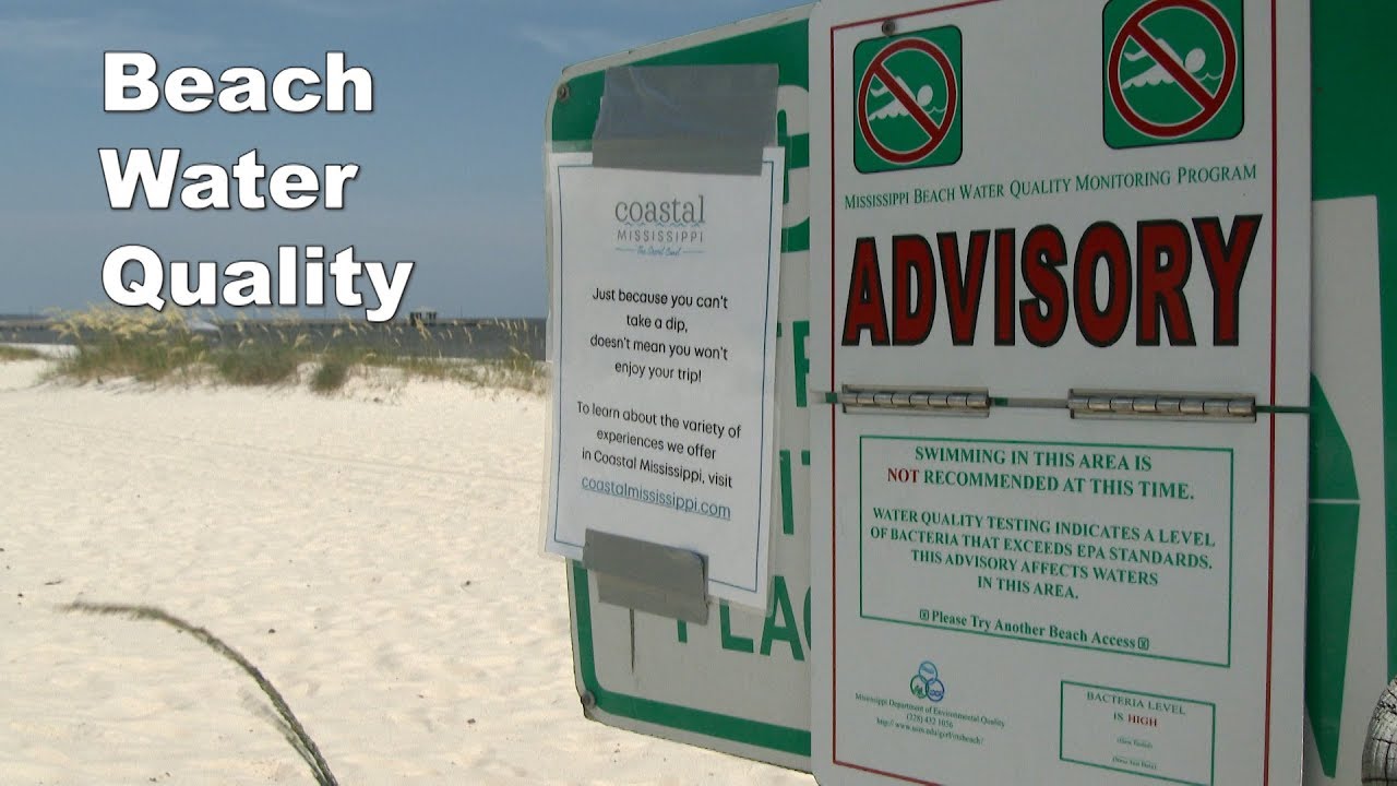 Beach Water Quality - Bacteria vs Harmful Algal Bloom