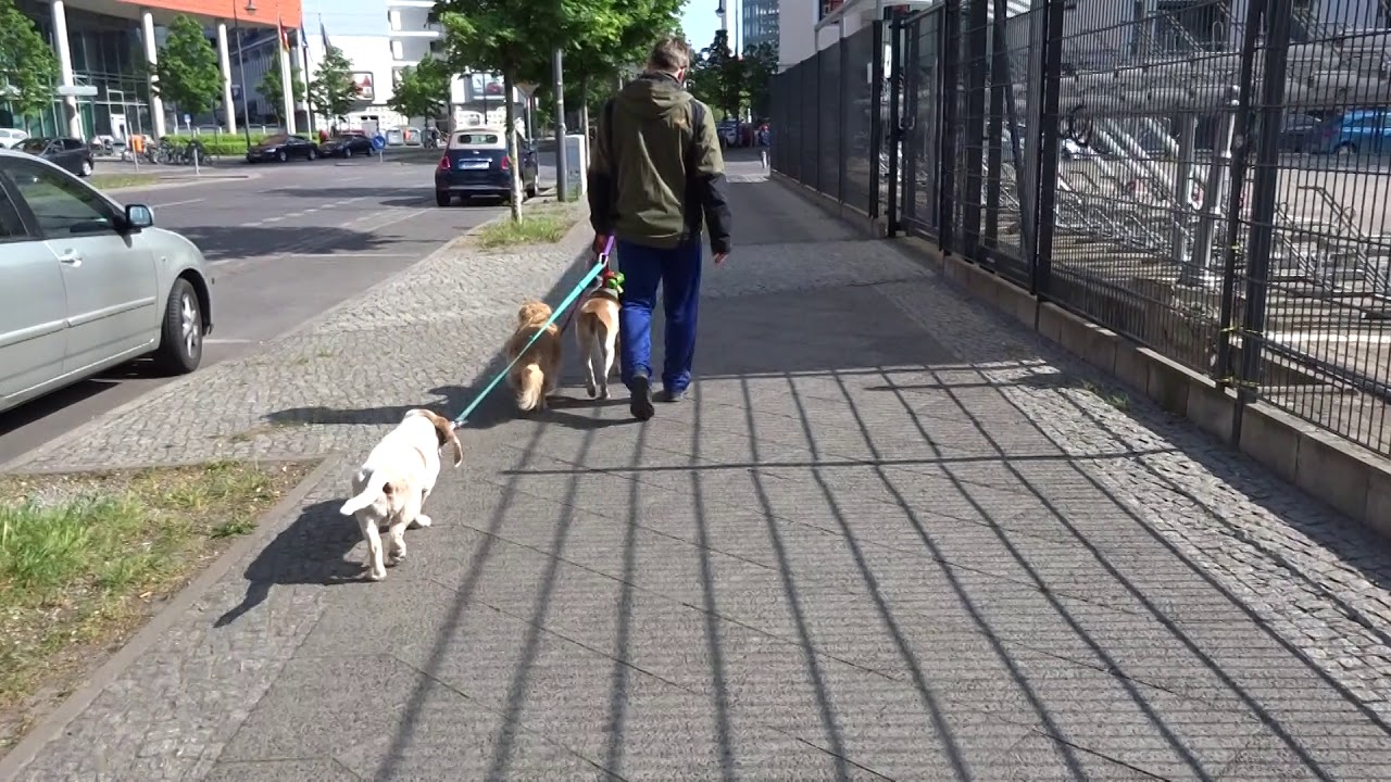 Axel-Springer-Stra&szlig;e, Berlin. 2019.05.11_10:00:13