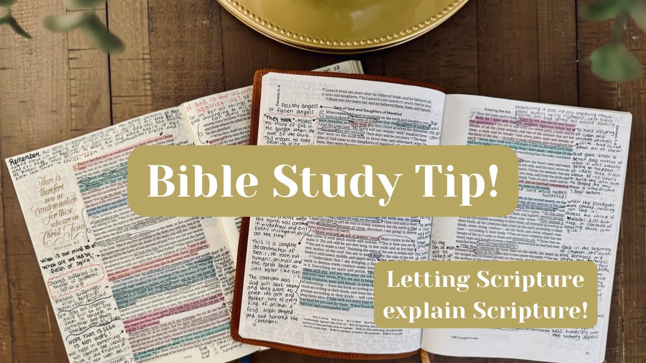 Bible Study Tip! Letting Scripture explain Scripture | ESV Illuminated Bible and CSB Woman&rsquo;s Bible