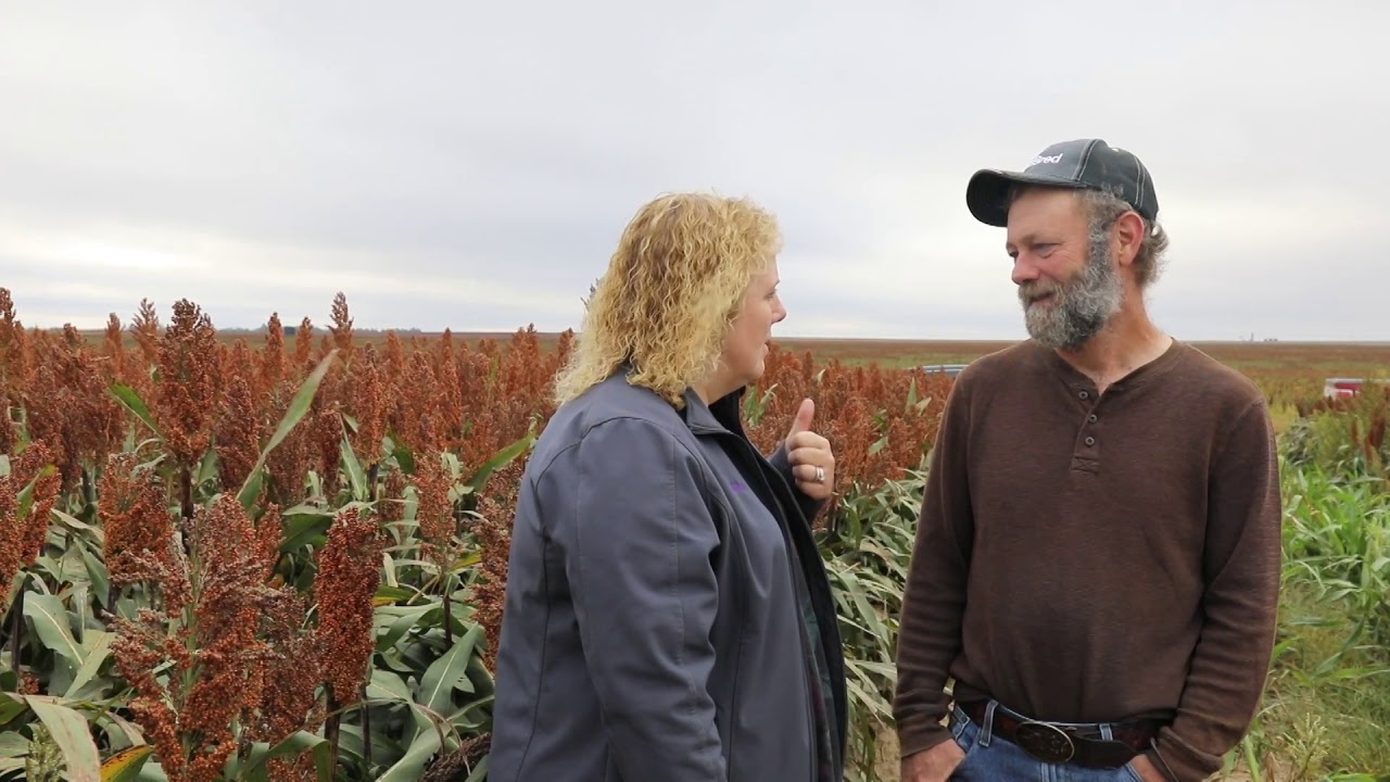 Export Sorghum 2019 - Kansas Growers
