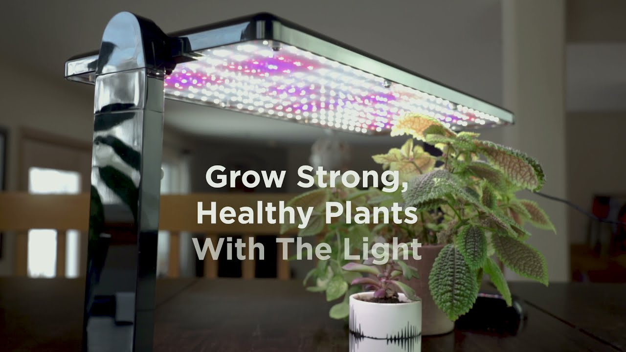 AeroGarden 45 Watt LED Grow Light Panel