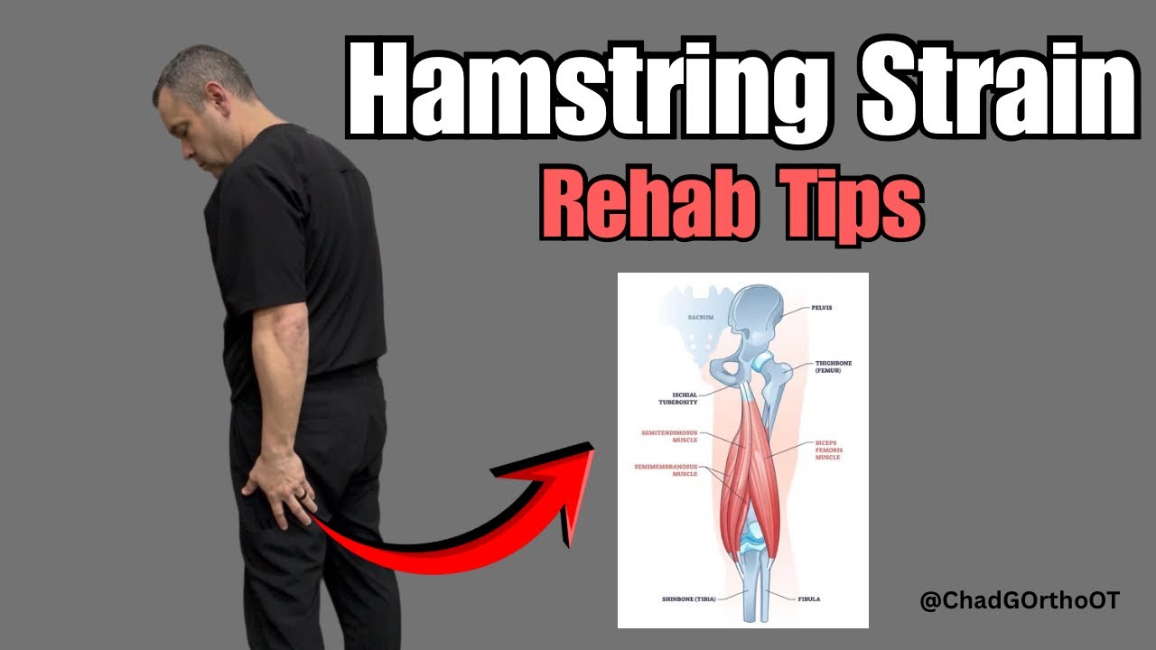 Hamstring Strain? Basic Rehab Tips! 