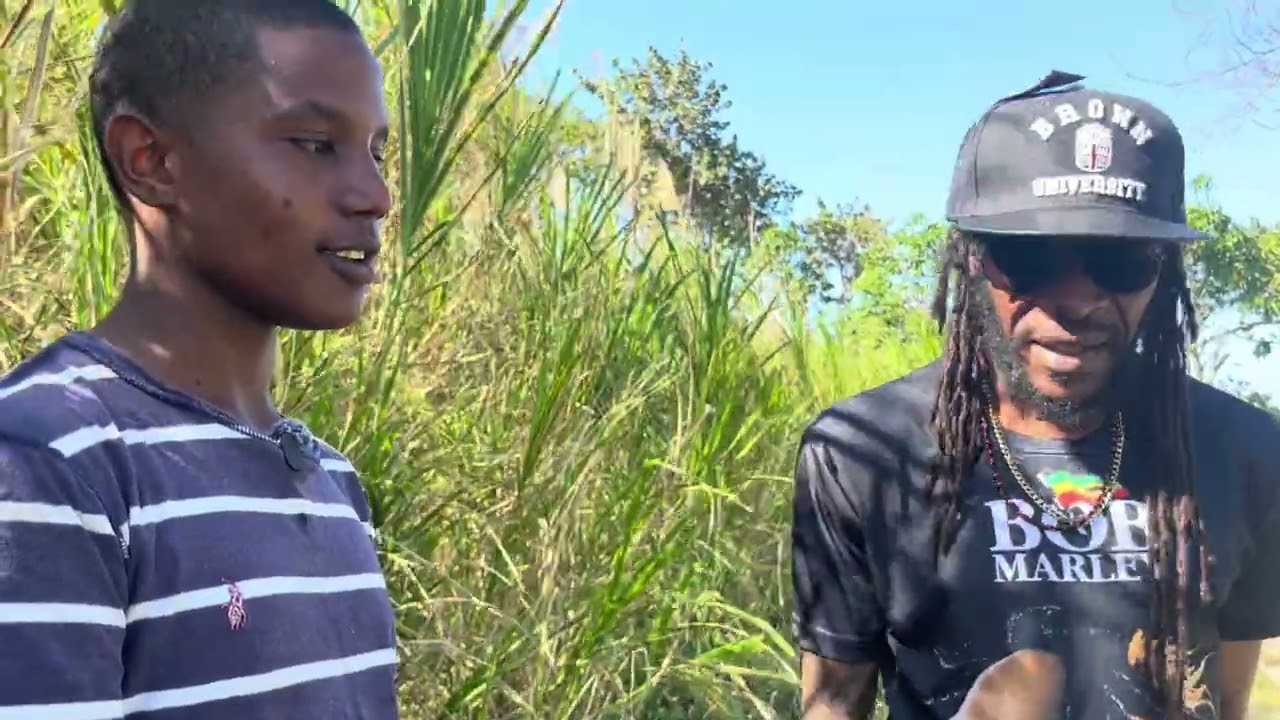 Объездная дорога Порт-Антонио / На кого она влияет? [Молодой и продуктивный человек, разводящий коз]