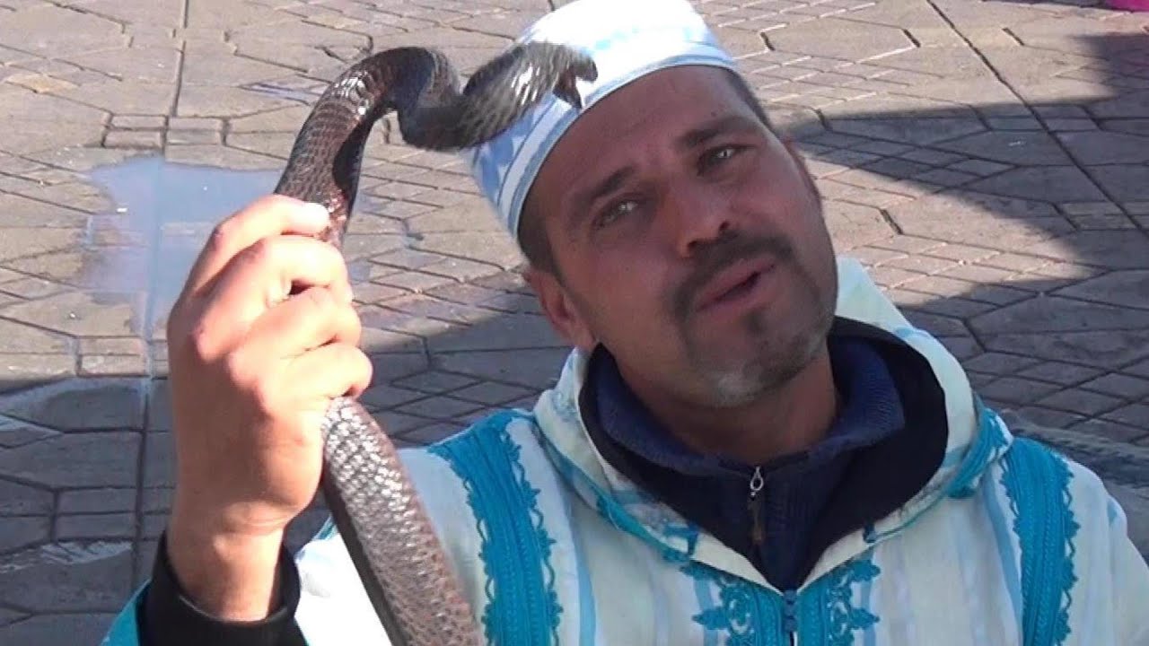 MARRAKESH, MOROCCO  Snake Charmer