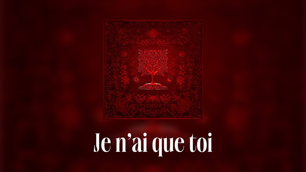 Dadju & Tayc - Je n'ai que toi (Lyrics video)