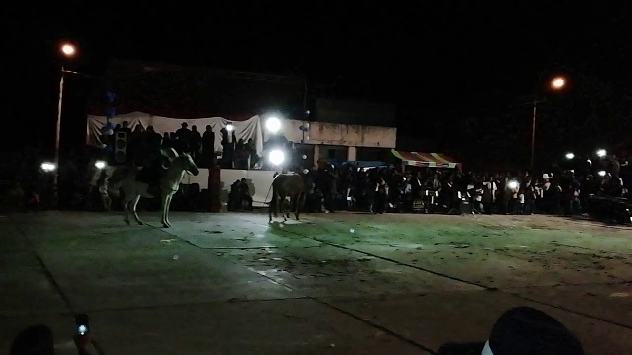 Huallamayo(2)
