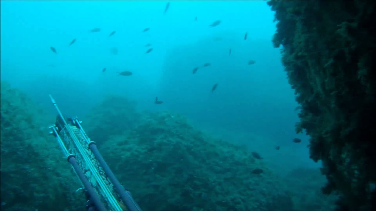 Pesca sub Liguria Cayman HF ET 75 Fusion 2 artigianale