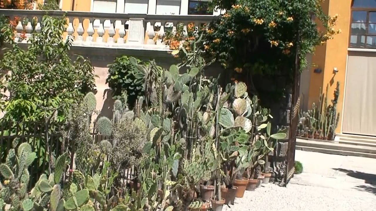 L'Orto Botanico dell'Università di Padova