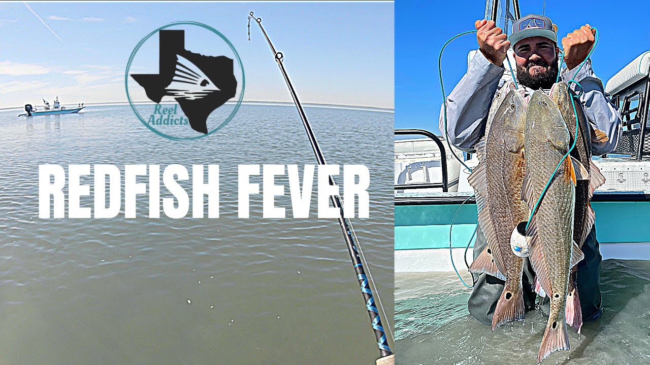 REDFISH FEVER- South Padre Island Wade Fishing