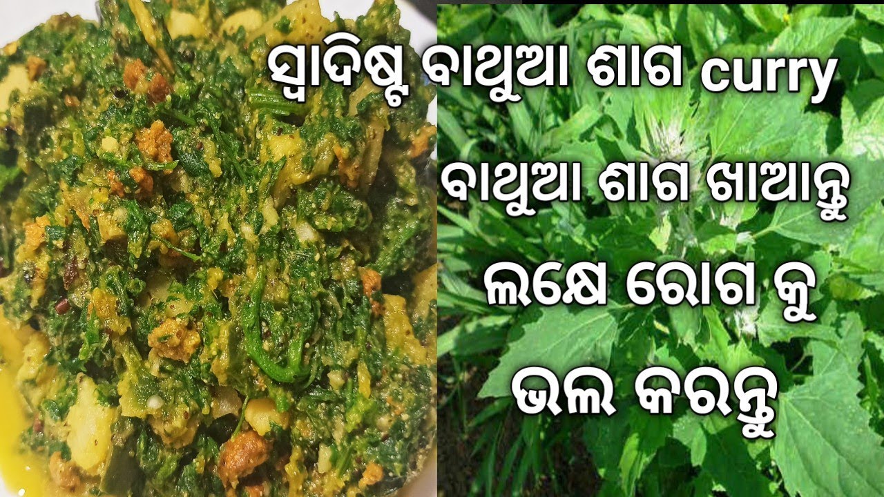 ସ୍ୱାଦିଷ୍ଟ ବାଥୁଆ ଶାଗ ଖାଆନ୍ତୁ ଲକ୍ଷେ ରୋଗକୁ ଭଲ କରନ୍ତୁ|bathua saga recipe|lunch dinner recipe