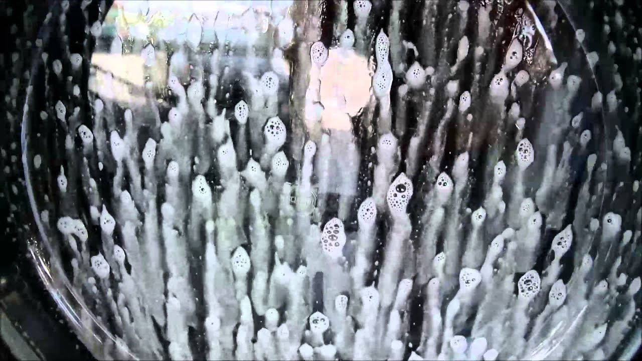 Laundry Santa Barbara