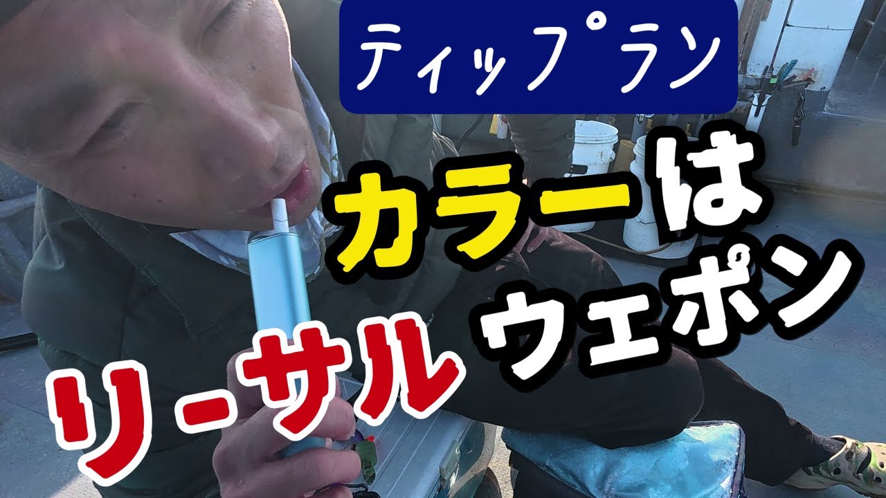 本当に釣れる？クリア系カラー1色縛り｜1日検証【ティップラン】