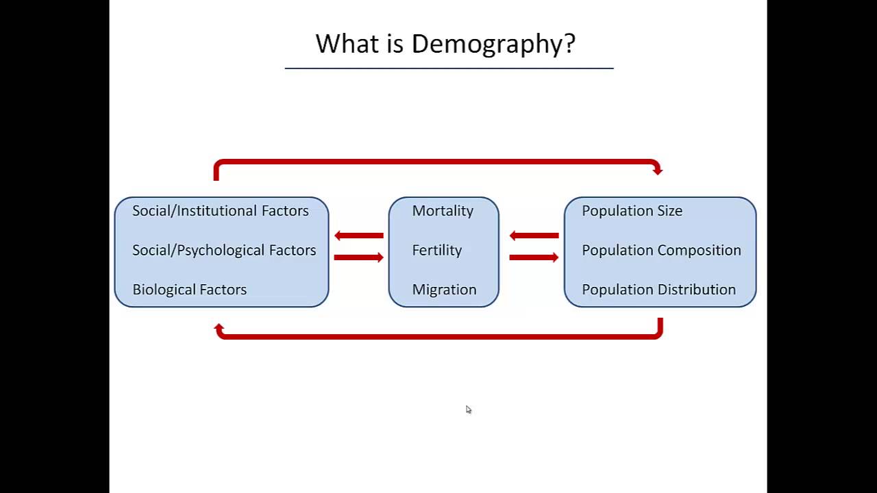 What is Demography?