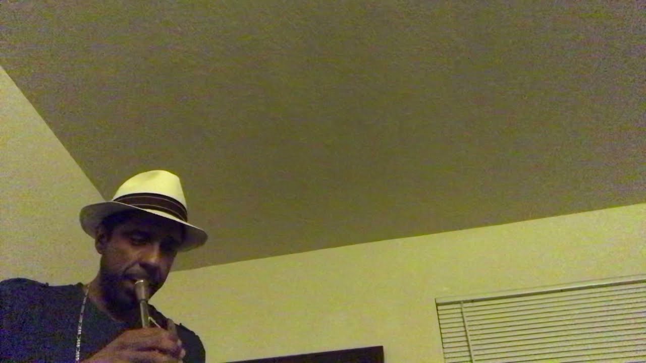 Smooth jazz trumpet (Samba Cantina) jo ral mute