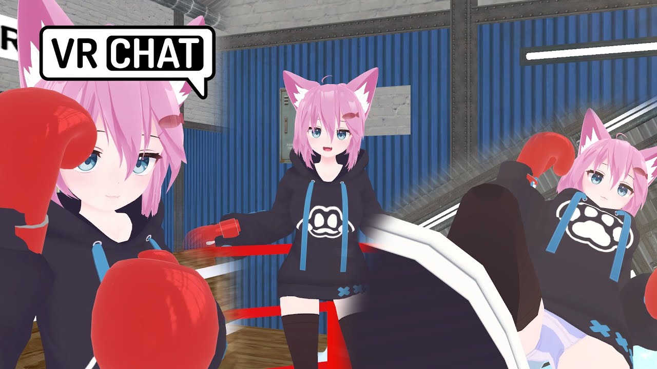 Pupper Pop🍇 VRchat POV BOXING