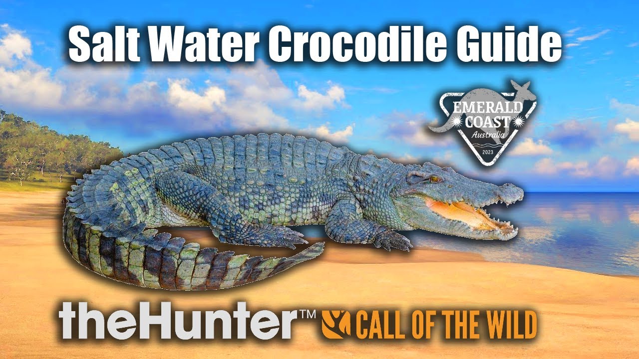 Путеводитель по крокодилам в морской воде - Изумрудный берег Австралии - theHunter Call Of The Wild.