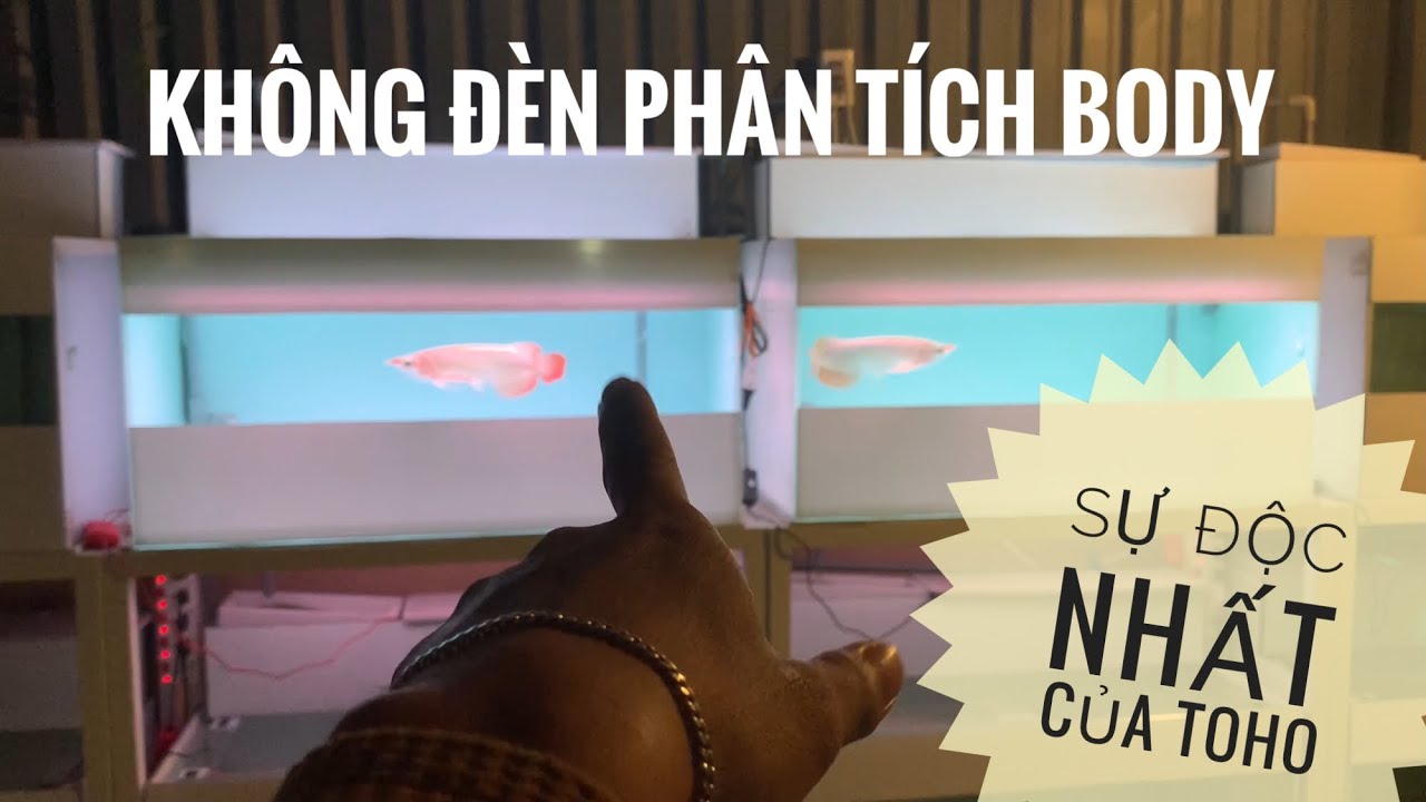 Huyết Long Phông Trắng - bước đi phải hiên ngang, đi sau lưng không đẹp, và cũng không thể được!