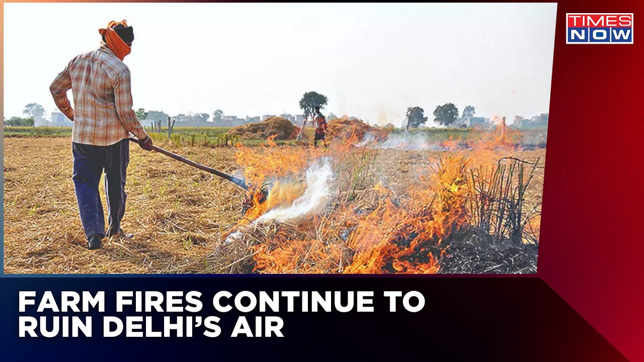 Delhi Continues To Breathe Toxic Air As Farm Fires Adds Up To The Pollution Level | English News