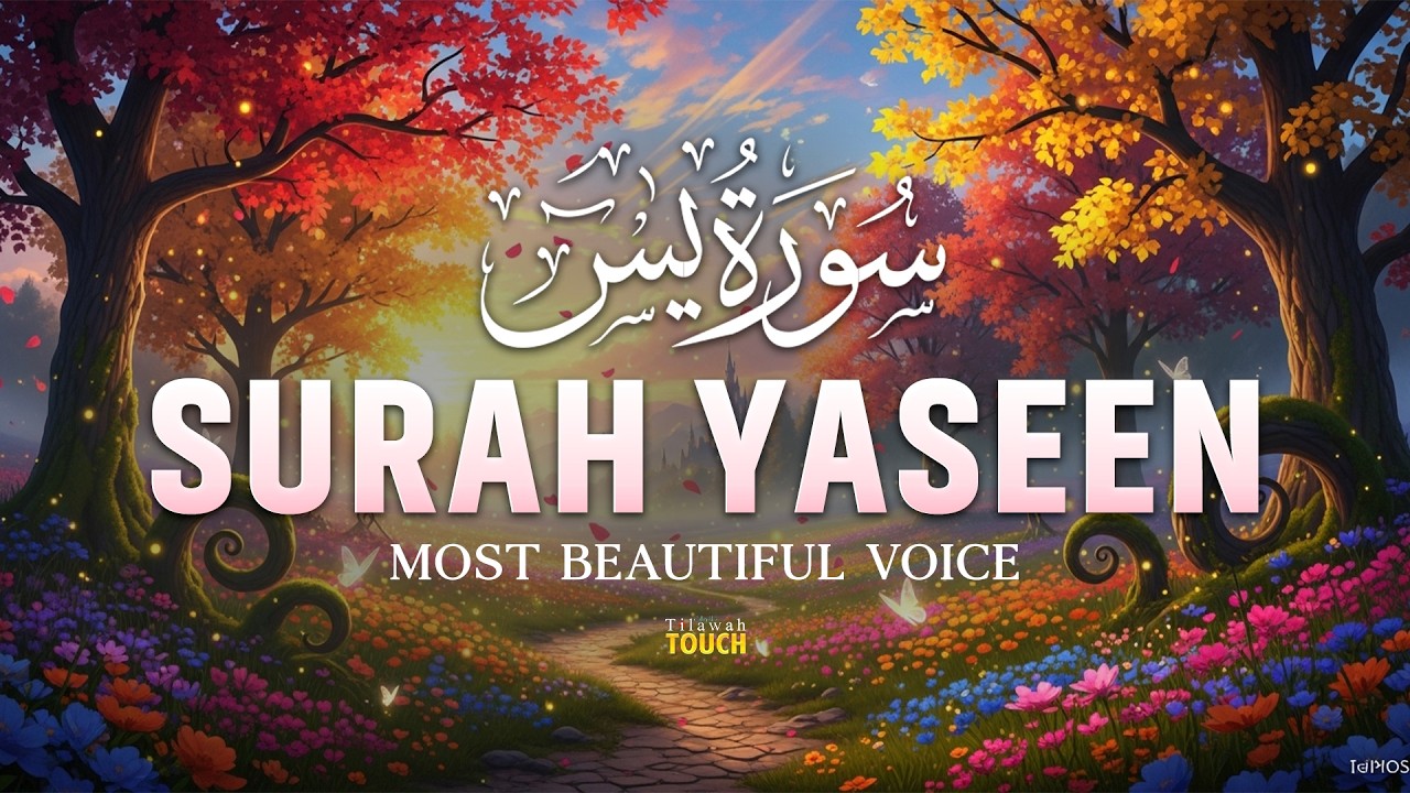 Surah Yaseen | Soft Quran Recitation for Mindful Sleep & Calmness - Alaa Aqel #surahyaseen