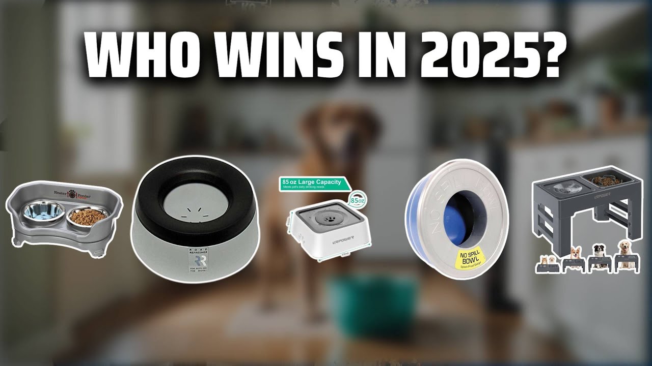 The Top 5 Best No Spill Dog Bowl in 2025 - Must Watch Before Buying!