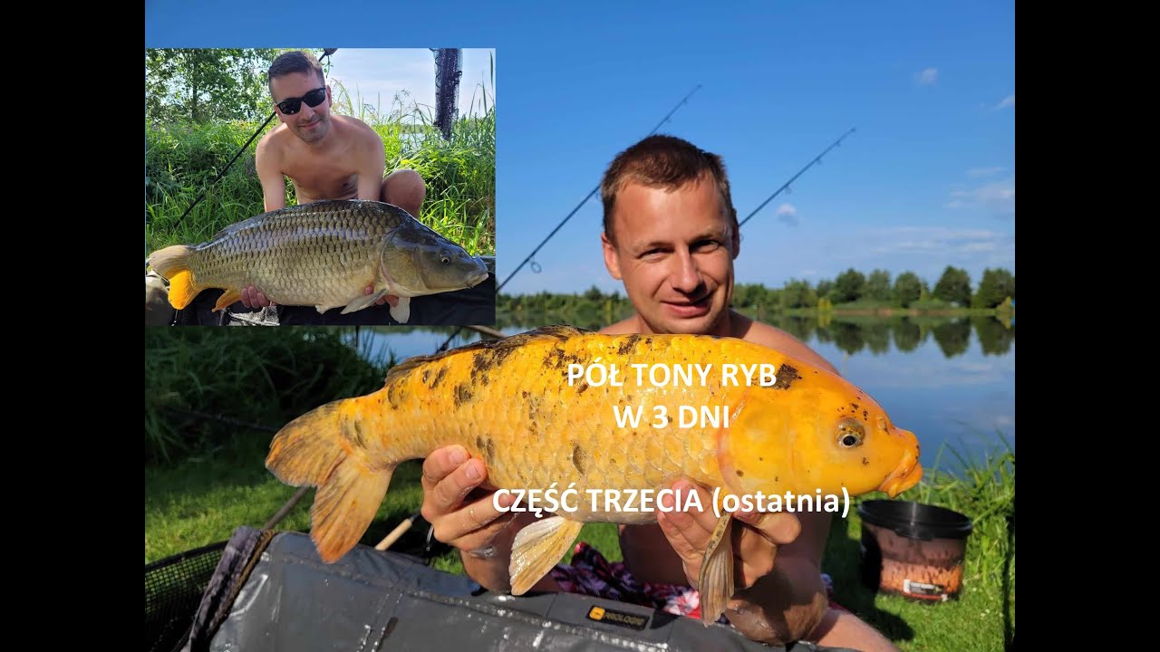 część 3 ponad P&Oacute;Ł TONY ryb z Łowiska Jarosławki
