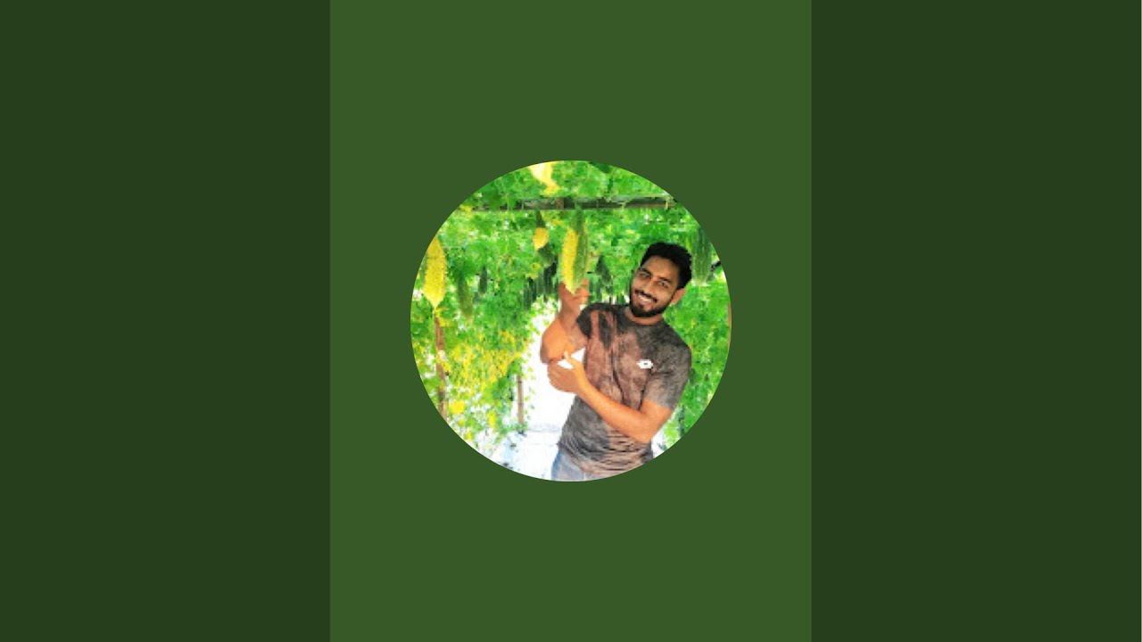 Agro one is live