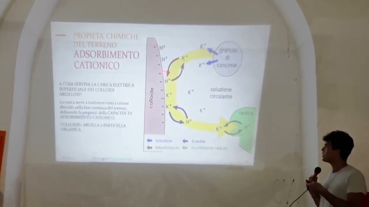 Sci'jidd VI (2023) - A. Arsale - «La Chimica del Suolo»