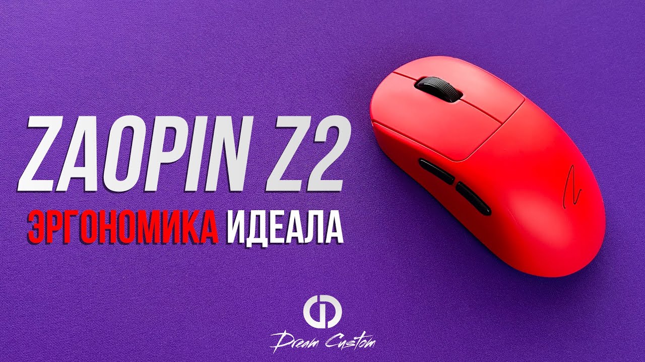 Лучшая ЭРГО до 6000? Zaopin Z2 | Dream Custom Review