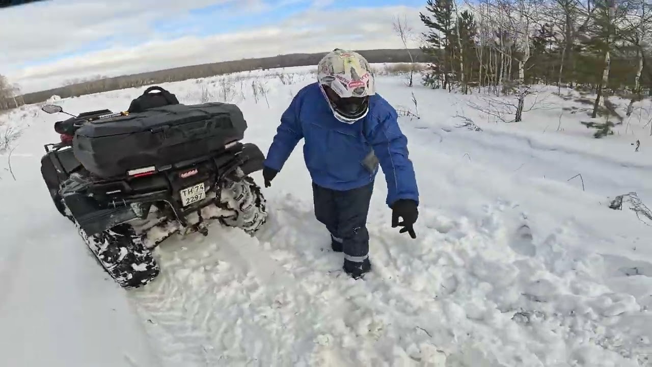 17 02 26 по лесу