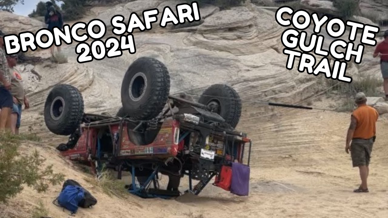 First Day At Bronco Safari. WILD EXPERIENCE