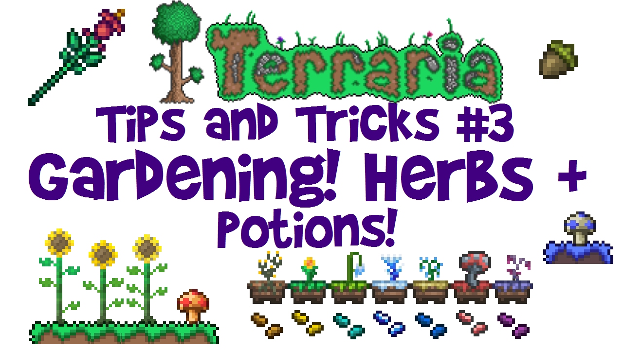 Руководство по садоводству в Terraria! Ферма грибов, трав, зелий и т.д.! (Советы и рекомендации, ...