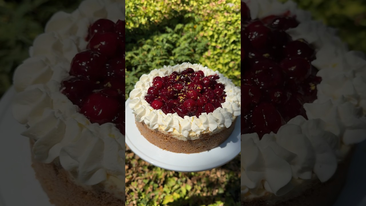 Cherry Cheesecake 🍒 #cooking #food #foodshorts #shorts
