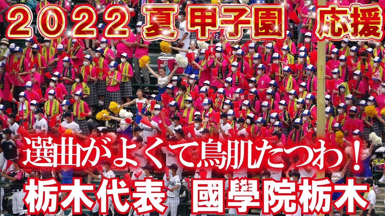 選曲が良すぎて鳥肌立った！【2022夏　甲子園応援】新世界より　第4楽章など　國學院栃木　応援　　ブラバン甲子園