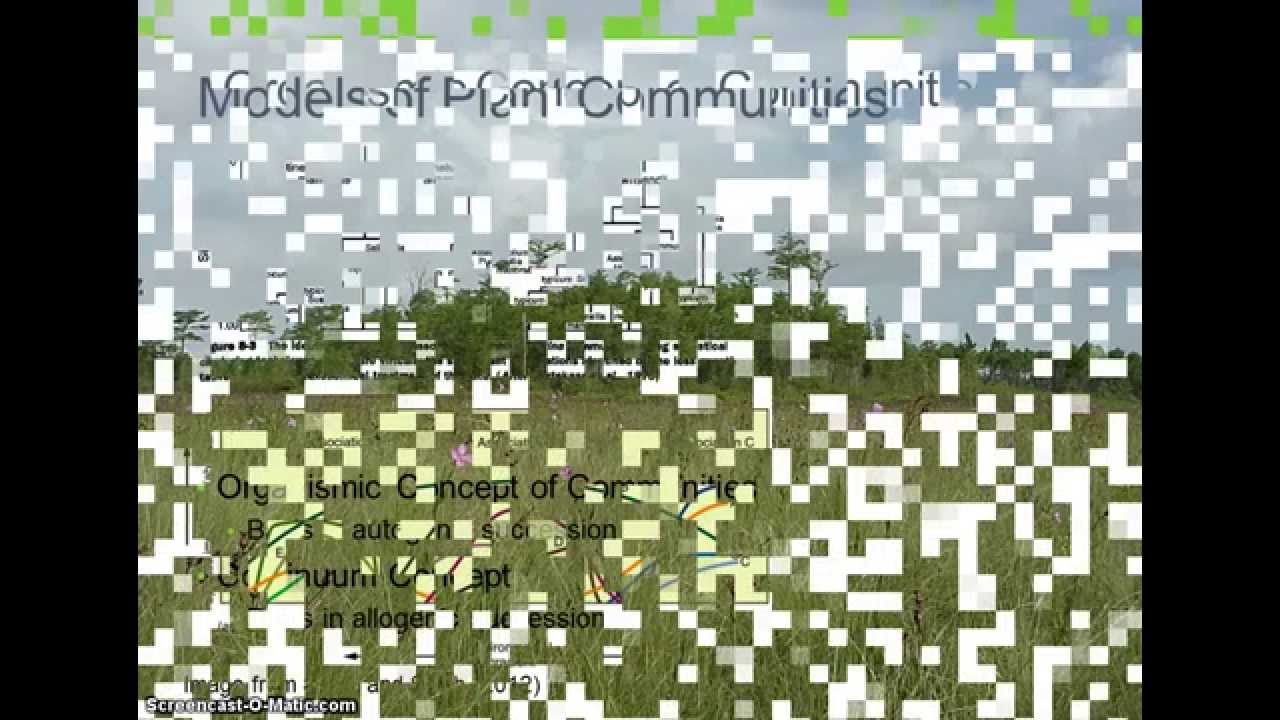 Community Structure Part 2