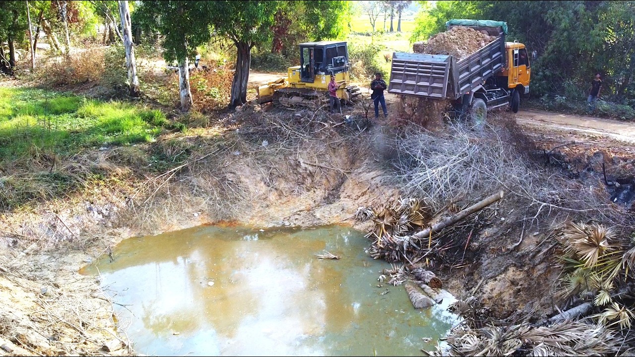 First Start Amazing PROJECT!! Filling Land Delete Deep Fish Pond Use Strong D31P Dozer & 5Ton Truck.