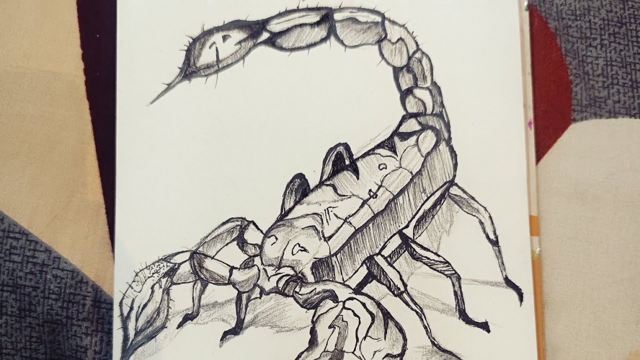 Scorpion pencil sketch art 🦂 Like and Subscribe for more videos