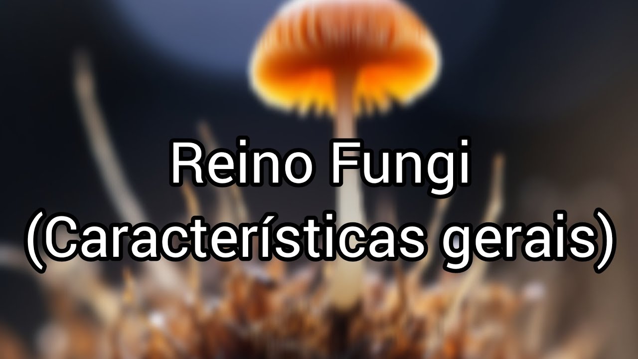 Reino Fungi (Características gerais) #01
